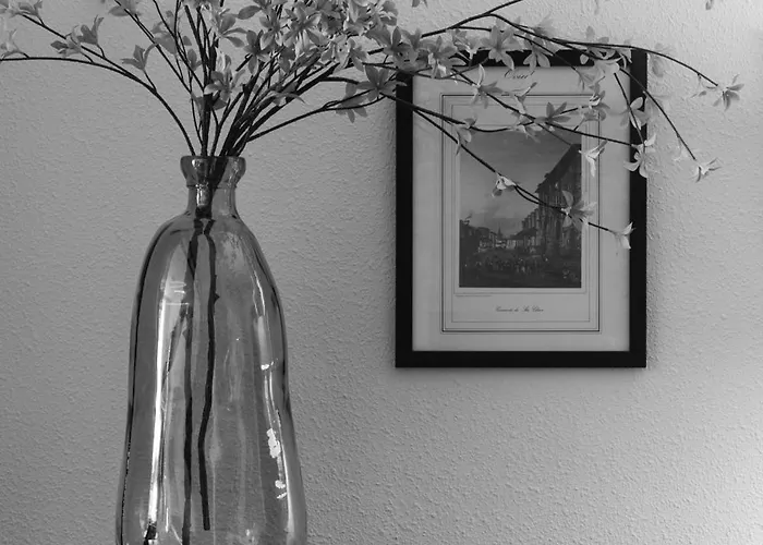 Διαμέρισμα Ah El Corazon De Corrida Vut4786as Χιχόν